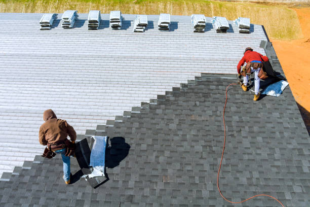 Best Roof Maintenance Services  in Royal Palm Estates, FL