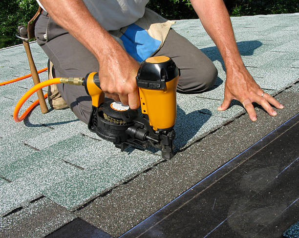 Best Storm Damage Roof Repair  in Royal Palm Estates, FL